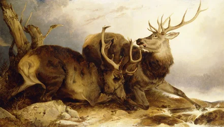 El Combate, 1847