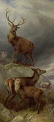 El bosque de los ciervos