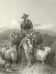 El cabrero de Granada