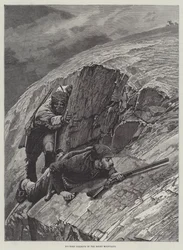 Acecho de carnero grande en las Montañas Rocosas