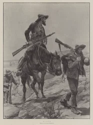 Cazado