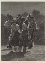 Maruja