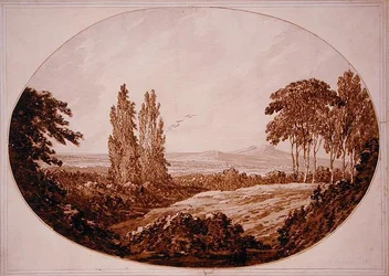 Paisaje, Árboles y Colinas Rocosas