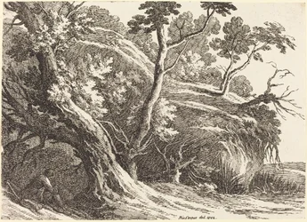 Paisaje con grandes árboles