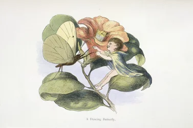 una mariposa danzante