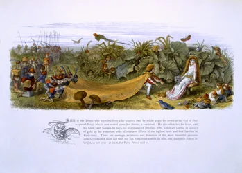 Ilustraciones de 