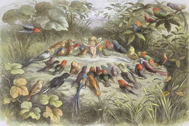 Ensayo musical en el país de las hadas (Ilustración de "En el país de las hadas. Imágenes del mundo de los elfos", de William Allingham y Andrew Lang)