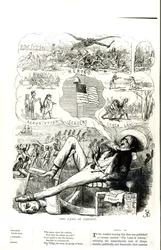 El país de la libertad", viñeta de la revista Punch