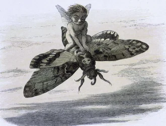 Un elfe chevauchant un papillon. Ilustración de Richard Doyle tiree de ""In Fairy land. Una serie de imágenes del mundo de los elfos"" acompañadas de un poema de W Allingham. 1869-1870. The British Library Institution Referencia: Shelfmark ID: 1876 e18 