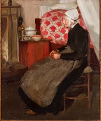 Vieja holandesa