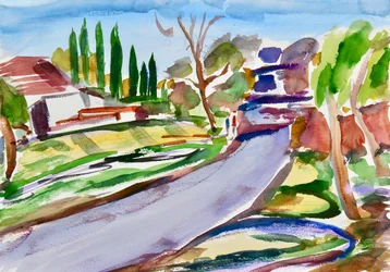 Camino Trasero con Sombras