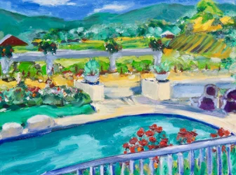 Patio trasero, Napa