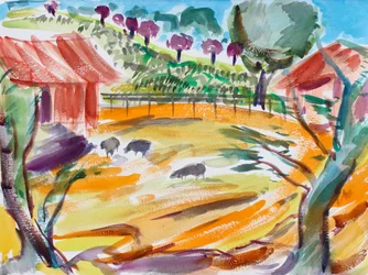 Corral con ovejas, Valle de Napa, 2016