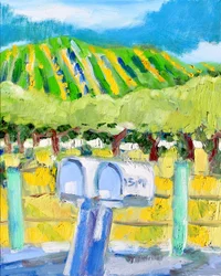 Buzones y Viñedo, Napa