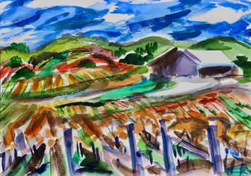 Napa en otoño