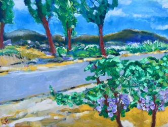 Viñedo al borde del camino, Napa