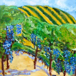 Viñedo y colinas onduladas, 2019