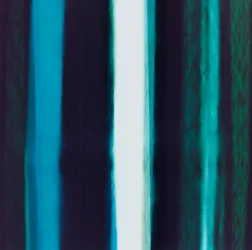 Franja V, 2005