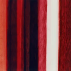 Raya XII, 2005