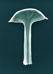 Sin título, 2003