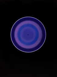 Sin título, 2004