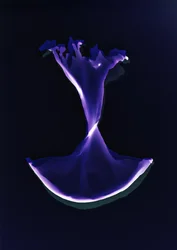 Sin título, 2004