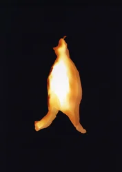 Sin título, 2004