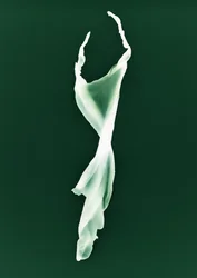 Sin título, 2004