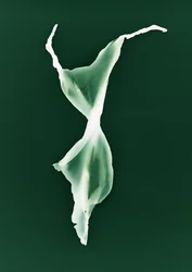 Sin título, 2004