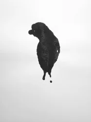 Sin título, 2009 (monotipo)