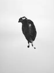 Sin título, 2009 (monotipo)