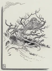 El Hombre y la Muerte