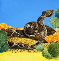 La advertencia de la serpiente de cascabel, de "Érase una vez" (gouache sobre papel)