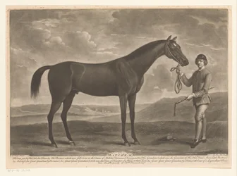 Caballo de carreras con jinete
Matchem (título en el objeto)