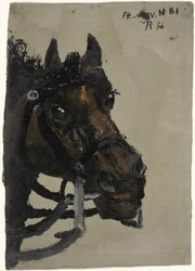 Cabeza de caballo