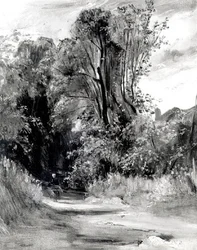 Camino a través de un bosque