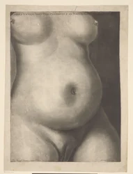 Torso de una mujer embarazada Seis impresiones anatómicas de un embarazo (título de la serie) Demostraciones de un útero preñado de una mujer en su tiempo completo (...) (título de la serie) Caroli Nicolai Jenty Uteri Praegnantis & ad Partum Maturi Demonst