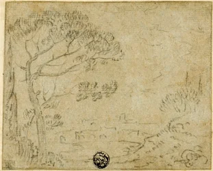 Paisaje Italiano con Pino Paraguas en Primer Plano