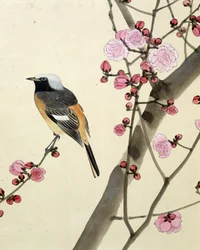Pájaro - Dibujo japonés de Riou Chim, finales del siglo XIX