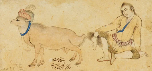 Estudio de un joven y un carnero, 1630-31 o posterior
