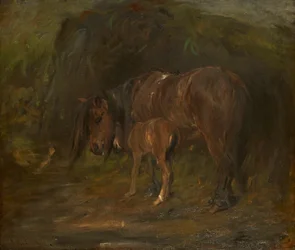 Yegua y potro