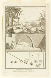 "Cultura y Quema del Algodón" de la Enciclopedia de Diderot, Vol. I