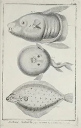Ilustración de 