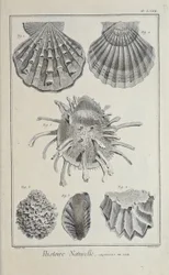 Ilustración de 
