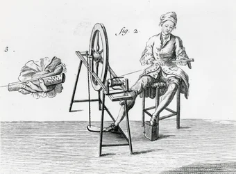 Economía rústica, algodón, de la Enciclopedia de Denis Diderot 1713-84 (detalle)