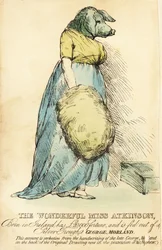 La dama con cara de cerdo, famosa en Londres hacia 1815.