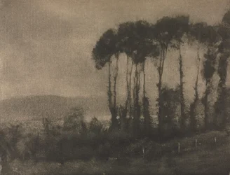 Camera Work: Toucques Valley