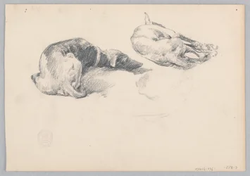Perros