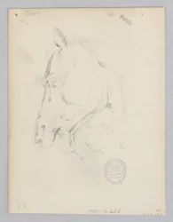 Caballo