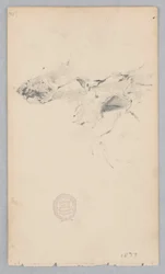 Alfombra de piel de tigre
